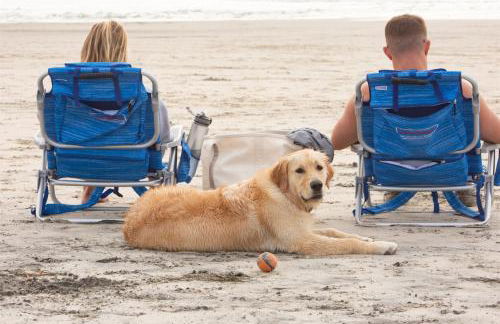 Live the Beach Life in a Quaint Shell Cottage - Foto 35