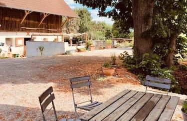 Zauberhafte Ferienscheune im Hofgut Alte Ölmühle - Foto 6