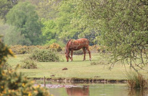 Lilac Cottage - Photo 2