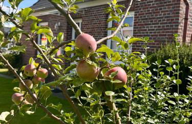 Huus-Appelboom - Foto 31
