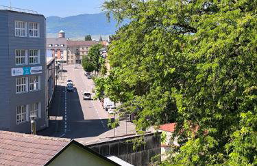 Appartement Cosy à Colmar - Photo 2