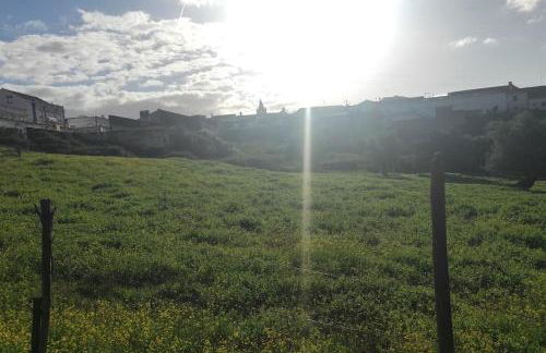 Nova Quinta Moderna TORRAMO em Oliveiras, Campo de Laranjas, na Nacional 2, Alentejo 13750 m2 - Foto 78