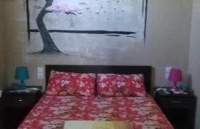 Mιχαλης Apartments - Foto 20