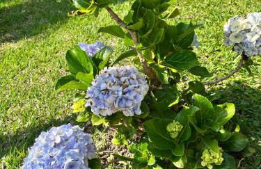 Chácara Casa Amarela - estrutura completa de lazer - ambientes elegantes e exclusivos - campo de futebol e bocha - piscina - lareiras - 10 min Rota do Vinho - Foto 42
