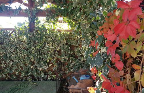 Magnifique villa de charme avec piscine - Foto 58