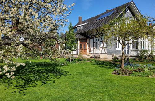 FeWo 110qm mit Balkon an Weser/Glacis/City - Foto 40