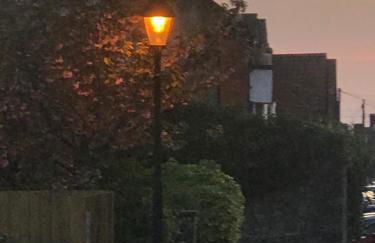 Glastonbury Rose Cottage - Photo 19