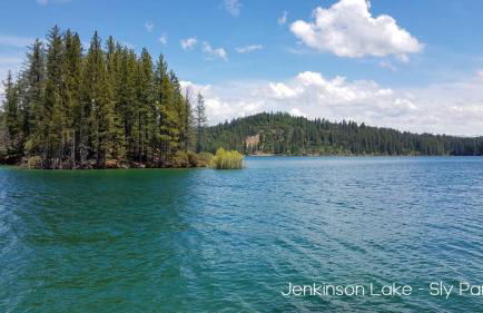 Luxury Cabin in Budget-Hot Tub -Apple Hills-Tahoe - Foto 45