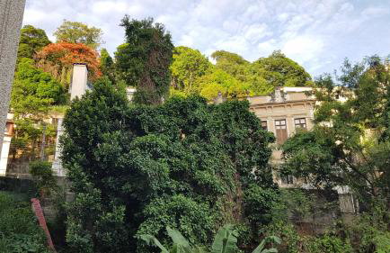 Aconchego e Incrível Vista Mata Santa Teresa Wi-fi 500Mega - Foto 14