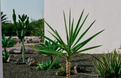 Casa del Aljibe - La Casa - Foto 76