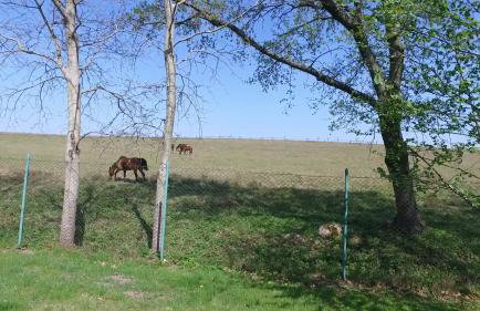 Ulinia Gardens - Photo 39