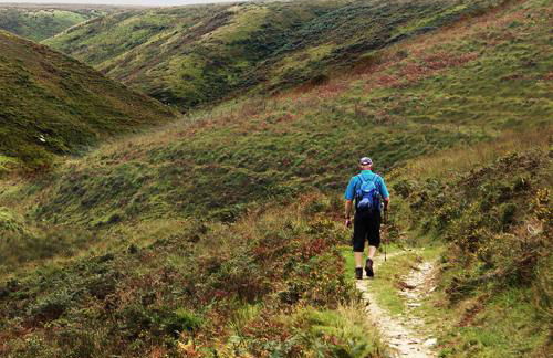 Stunning Cottage Close to Amazing Beaches - Foto 18