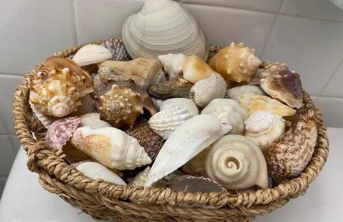 Beachfront Venice Casa de Villa - Photo 30