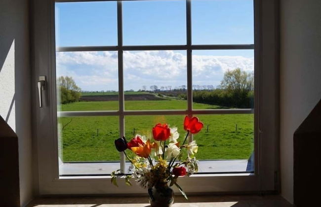 Haus an der Pferdekoppel - Foto 43