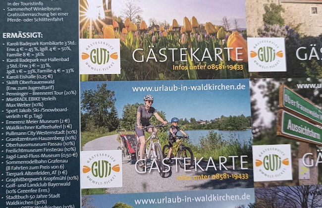 Balcony Views & Forest Calm - Photo 39