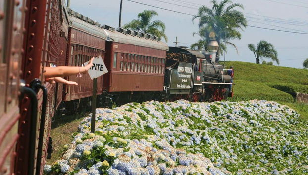 Durante el trayecto entre bellos paisajes