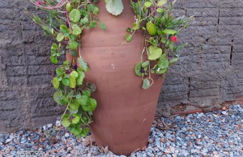 Cabanas Bouganville - Foto 10