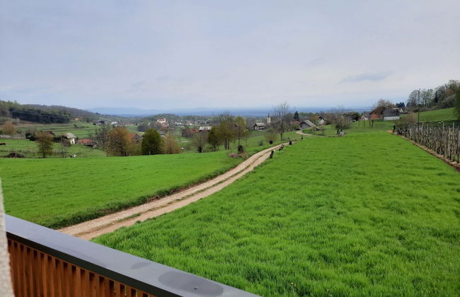 Vineyard cottage Klobčar - Photo 11