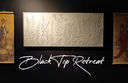 Black Top Retreat - Photo 15