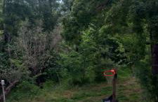 Agriturismo le Cammarose - Foto 80