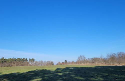 Ruheoase Waldblick - Foto 14