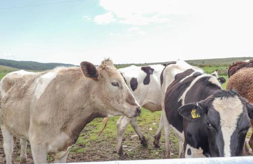 Hazel's Cottage - Foto 41