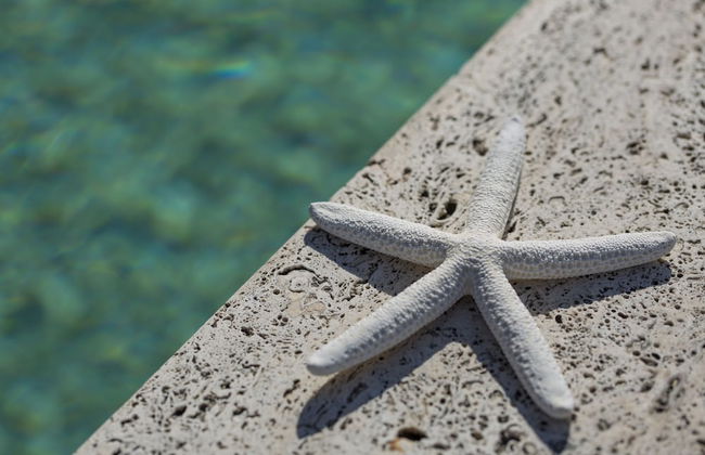 Nero D'Avorio Aparthotel & SPA - Foto 29