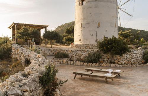 Anemomilos - Foto 51