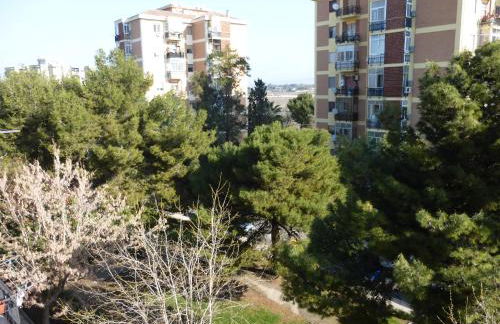 Chelu & Luna - Foto 63