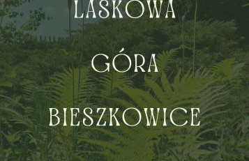 Apartament Loft na Kaszubach - Laskowa Góra Bieszkowice - Foto 35