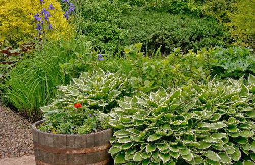 Leisure Hour - Photo 12