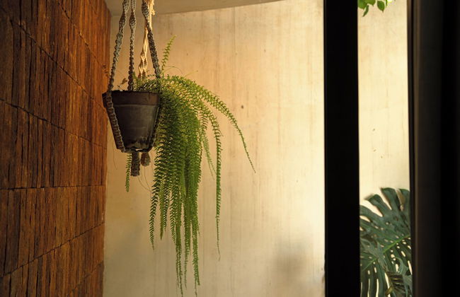 Villa Yahualli - Foto 33