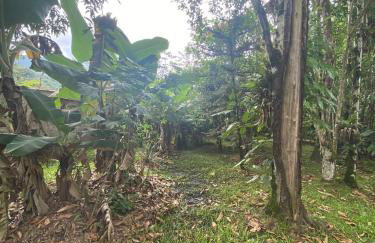 Chácara Gomes - Caiubura - Bertioga - Foto 80