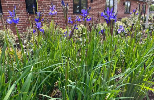 White House Lodges - Foto 24