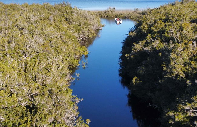Balade en bateau sur le lac Tepuhueico - Photo 6