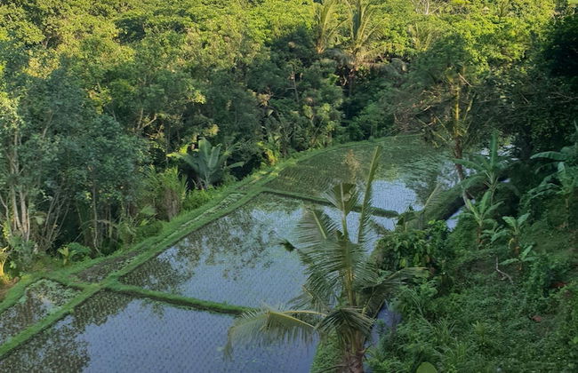 Villa Hati Indah - Foto 67