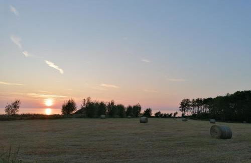 Hof am Meer "Seestern" - Foto 46