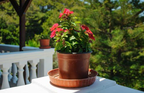 Athina Studios - Foto 10