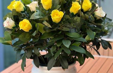 Venice Lucky House - Foto 44