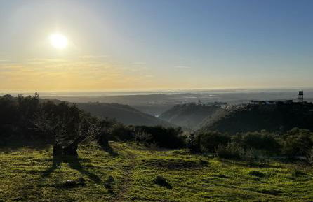 Complejo Rural Mirador de la Alcaidía - Foto 10