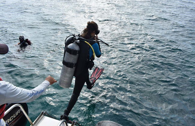 Immersione per principianti a Taganga - Foto 4