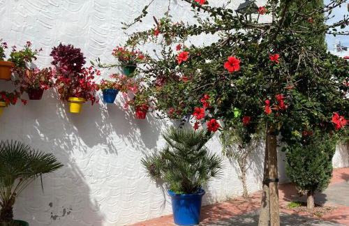 Casa San Miguel - Foto 49