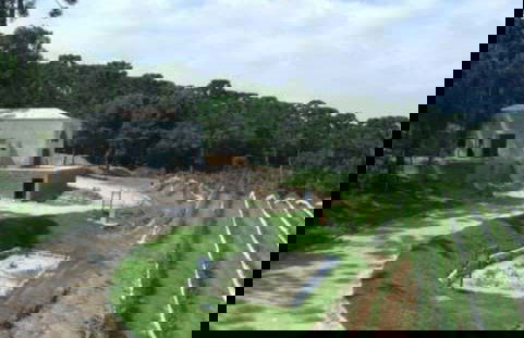 Visita alla cantina Vinícola Araucária - Foto 4