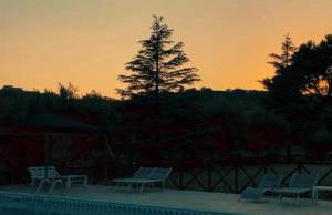 Agriturismo il Cicaleto - Foto 11