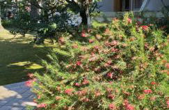 Versilia Apartment - Foto 28