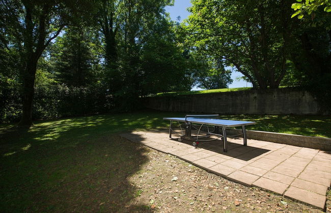 Rododendro Rosso - Foto 20