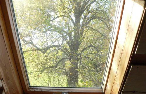 STARA PLEBANIA - Foto 39