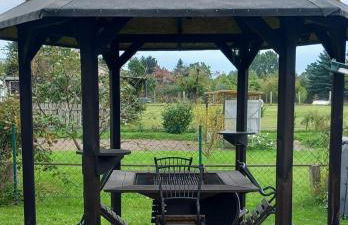 Urlaub mit Alpakas - Foto 19