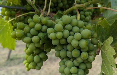 Libero Ranch - Foto 37