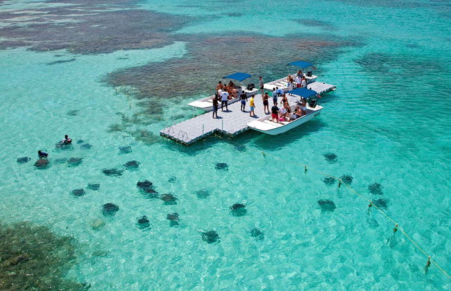 Stingray Spotting Experience in Stingray City Antigua - Photo 5